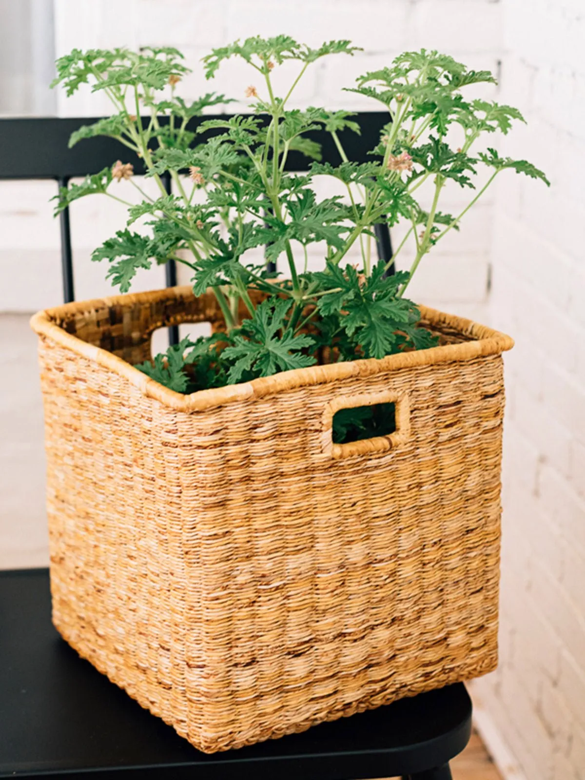 Banana Twine Cube