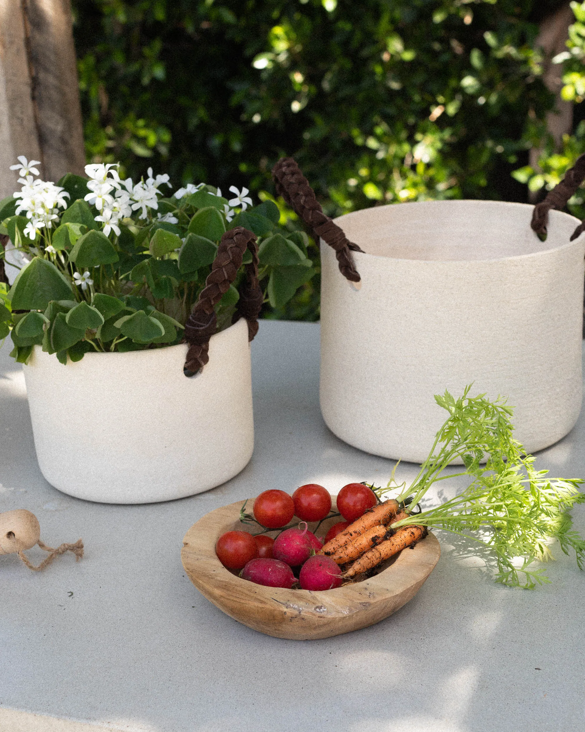 Dylan Planter