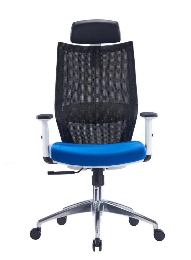Ergonomic Office Chair with Lumbar Support and Rollerblade Wheels, Blue Seat Black Back Reclining High Back with Breathable Mesh, Adjustable Headrest & Armrest, Comfortable Desk Chairs