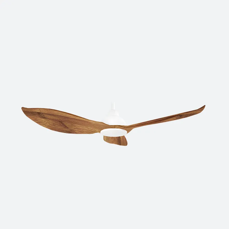 GERL Scandinavian Decor Fans (NLO)