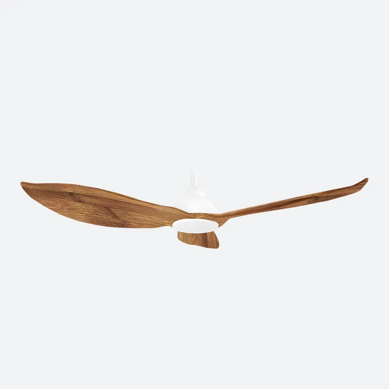 GERL Scandinavian Decor Fans (NLO)