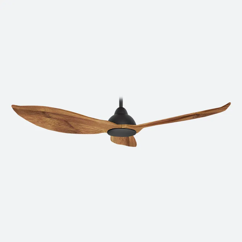 GERL Scandinavian Decor Fans (NLO)