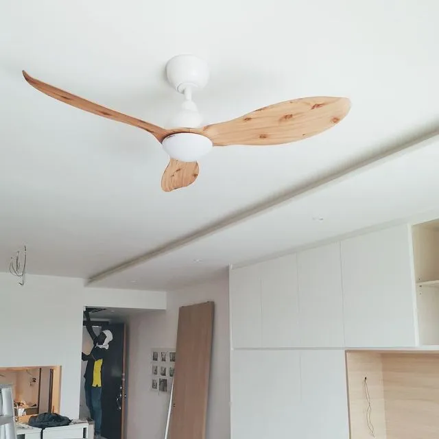 GERL Scandinavian Decor Fans (NLO)