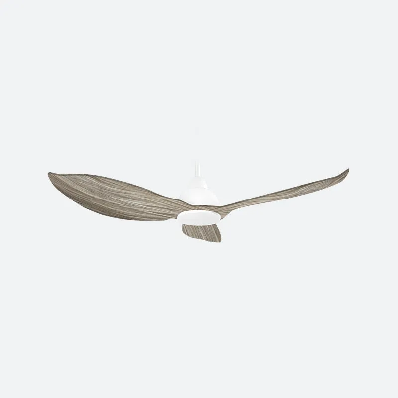 GERL Scandinavian Decor Fans (NLO)