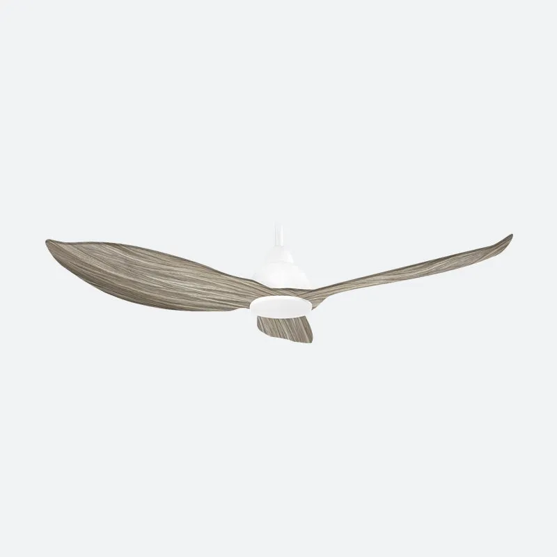 GERL Scandinavian Decor Fans (NLO)