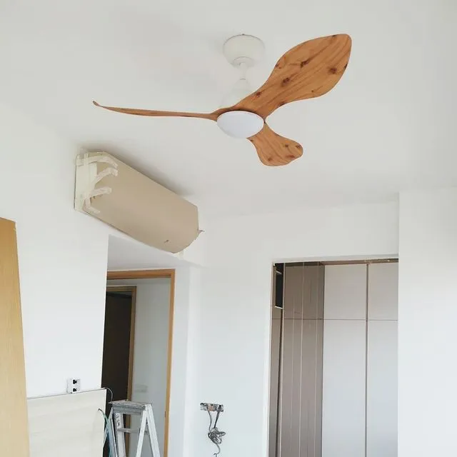 GERL Scandinavian Decor Fans (NLO)