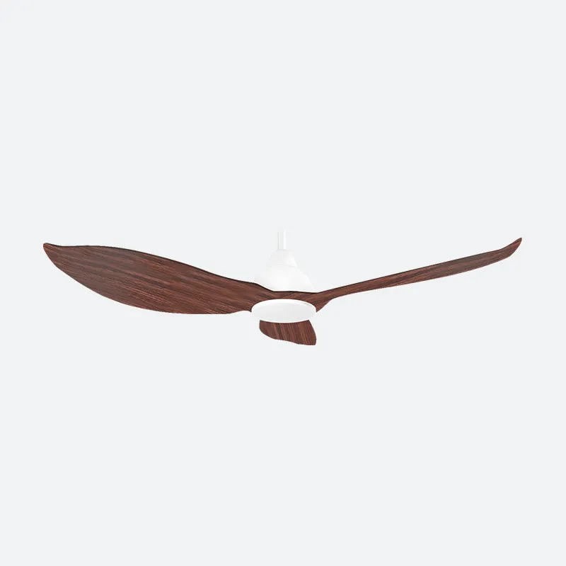 GERL Scandinavian Decor Fans (NLO)
