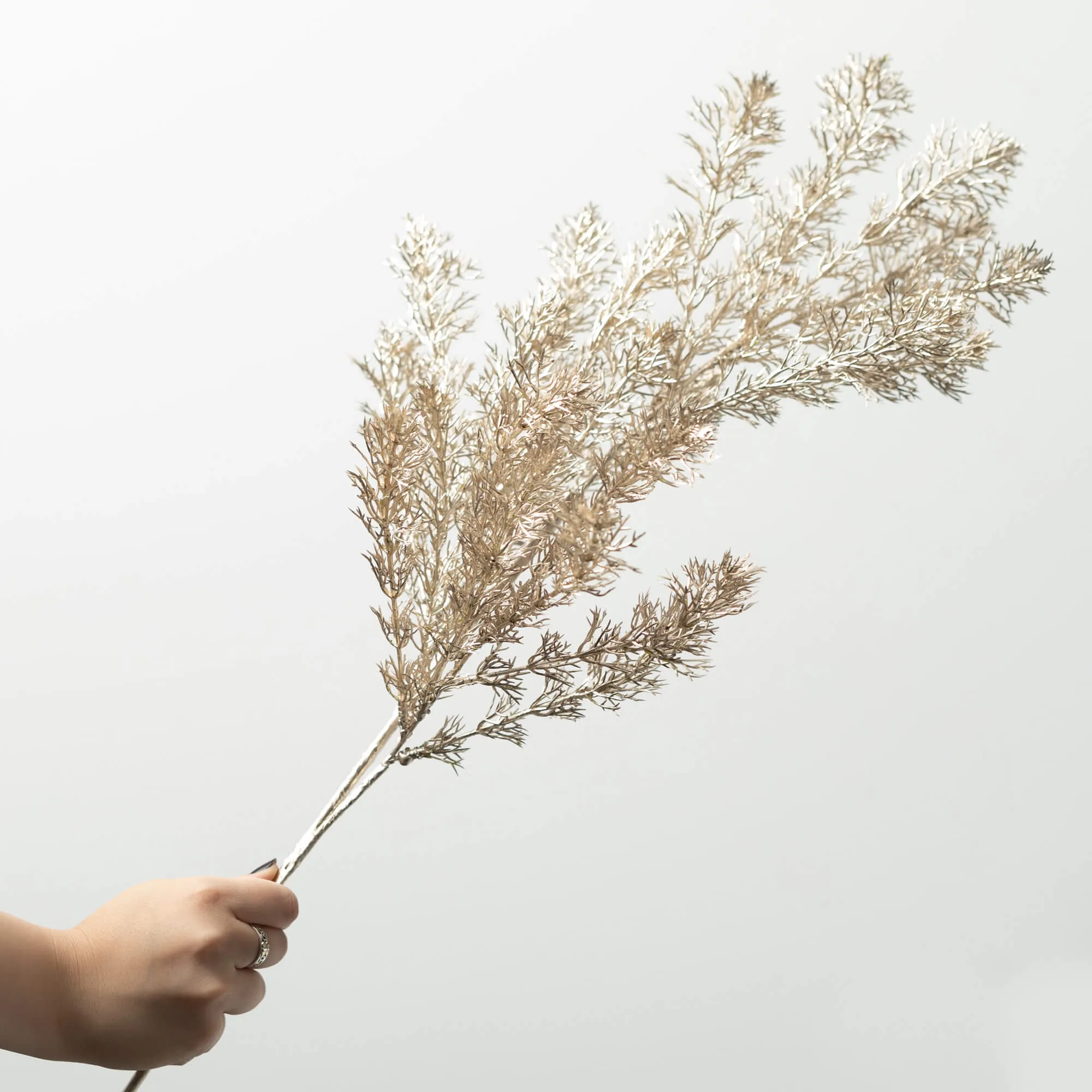 Gilded Champagne Pine Spray