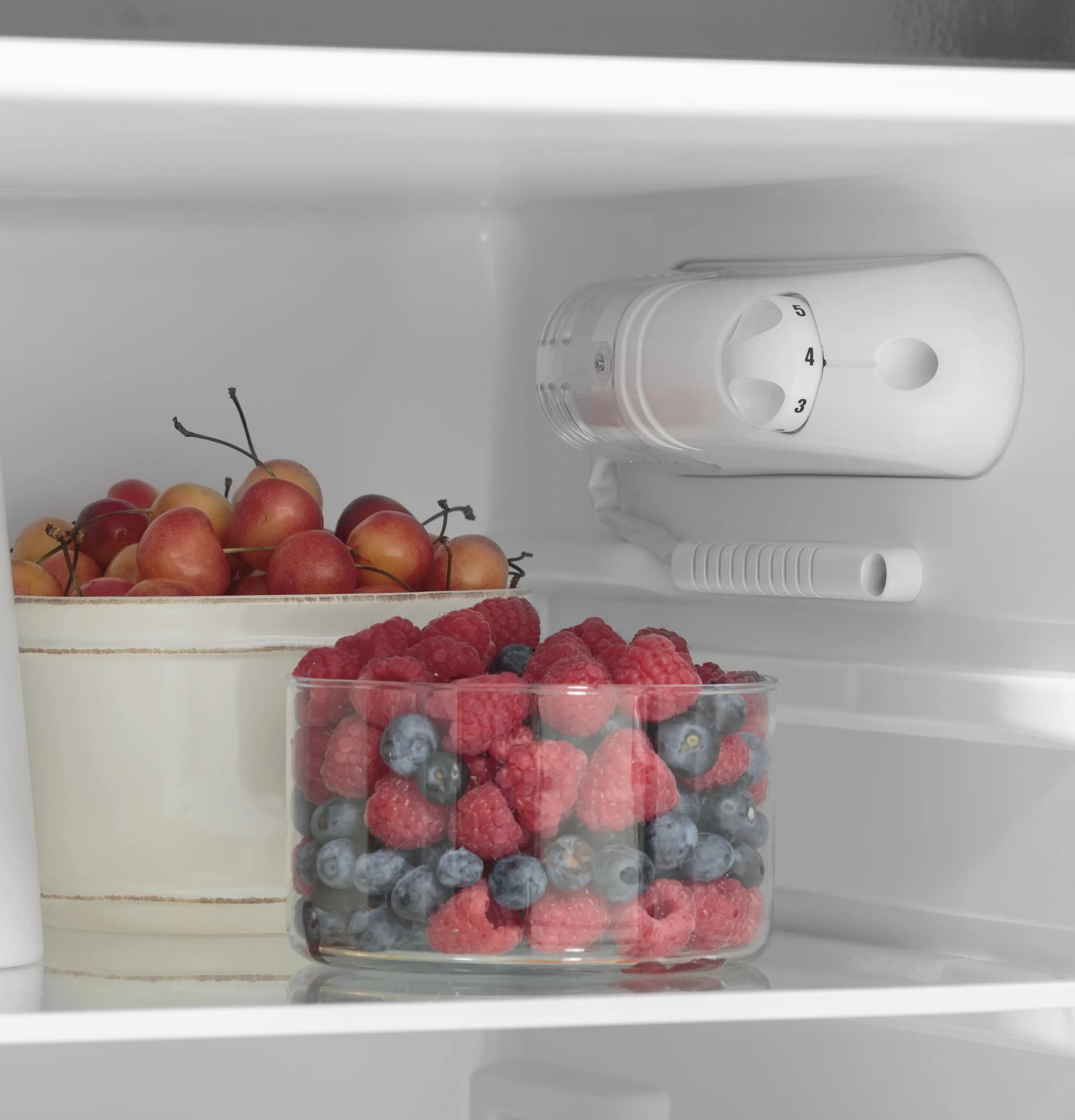 GPV10FSNSB GE® 9.8 Cu. Ft. 12 Volt DC Power Top-Freezer Refrigerator