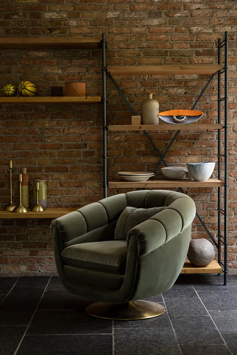 Iron Shelf