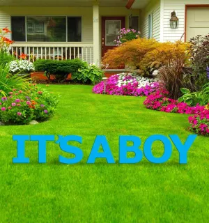 IT'S A BOY Blue Yard Sign