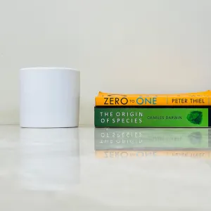 Minimalist White Ceramic Cylinder Planter