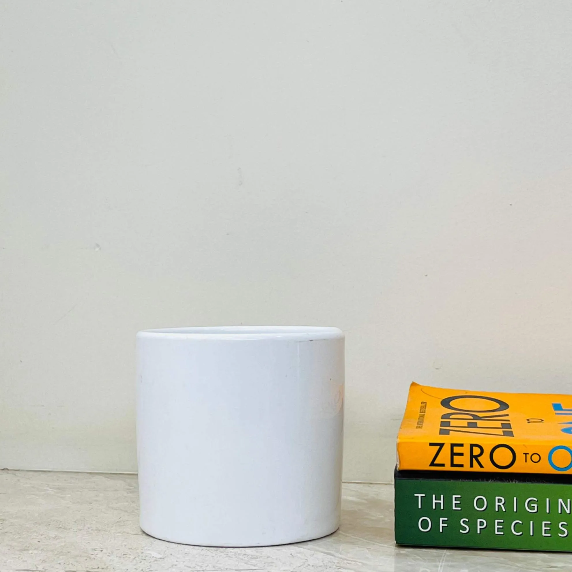 Minimalist White Ceramic Cylinder Planter