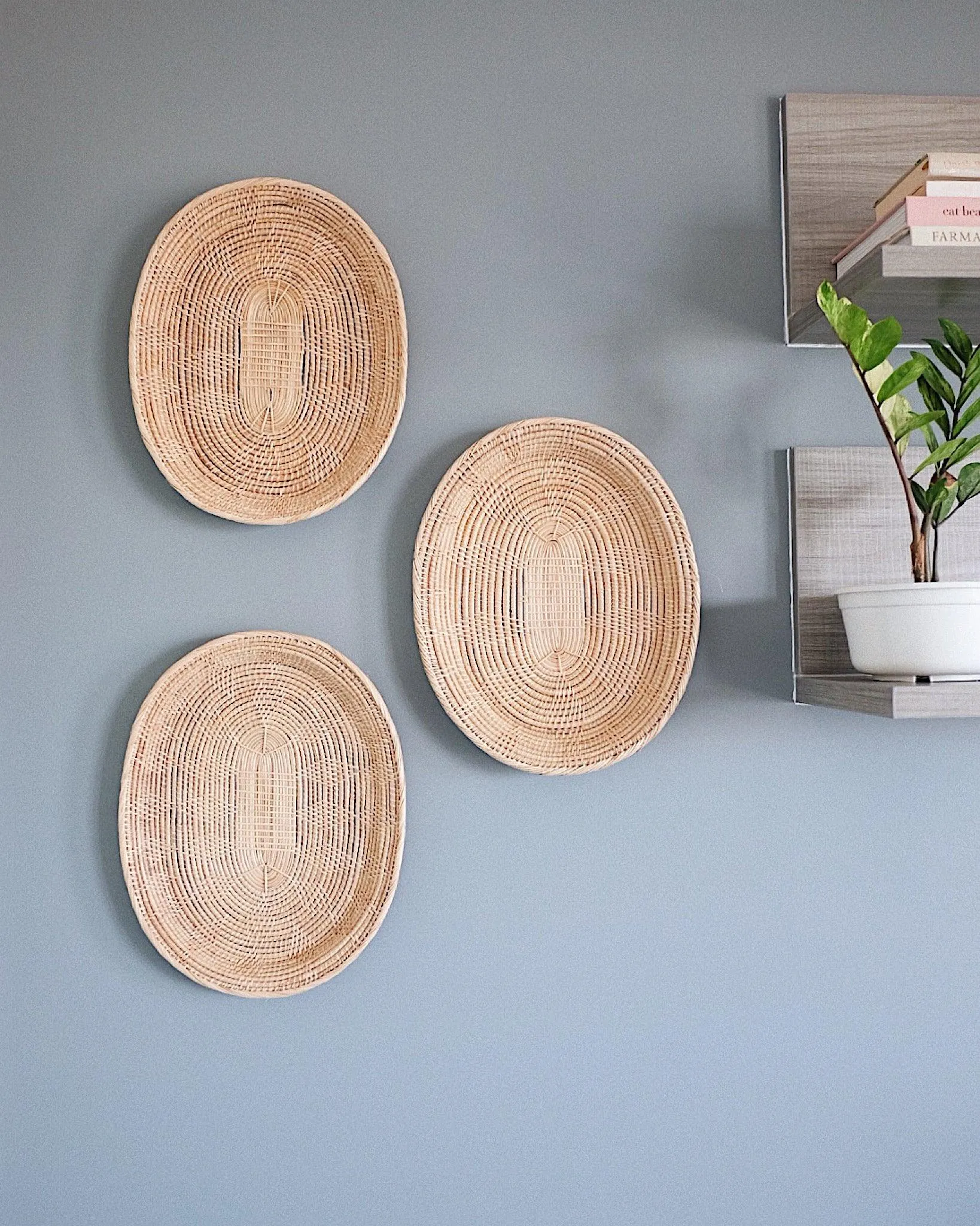 Oval Basket Wall Hanging Set No.1