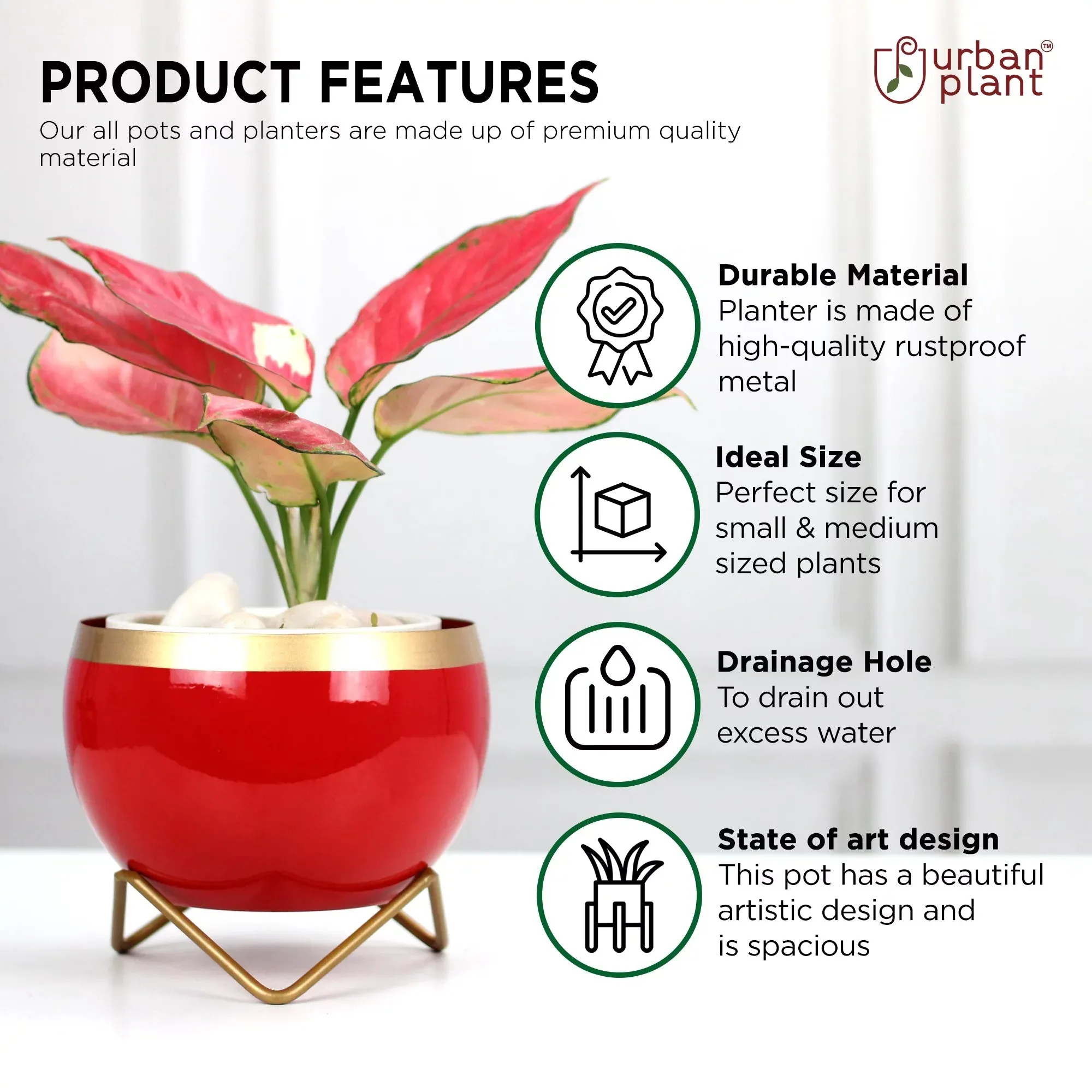 Petite Tabletop Pots