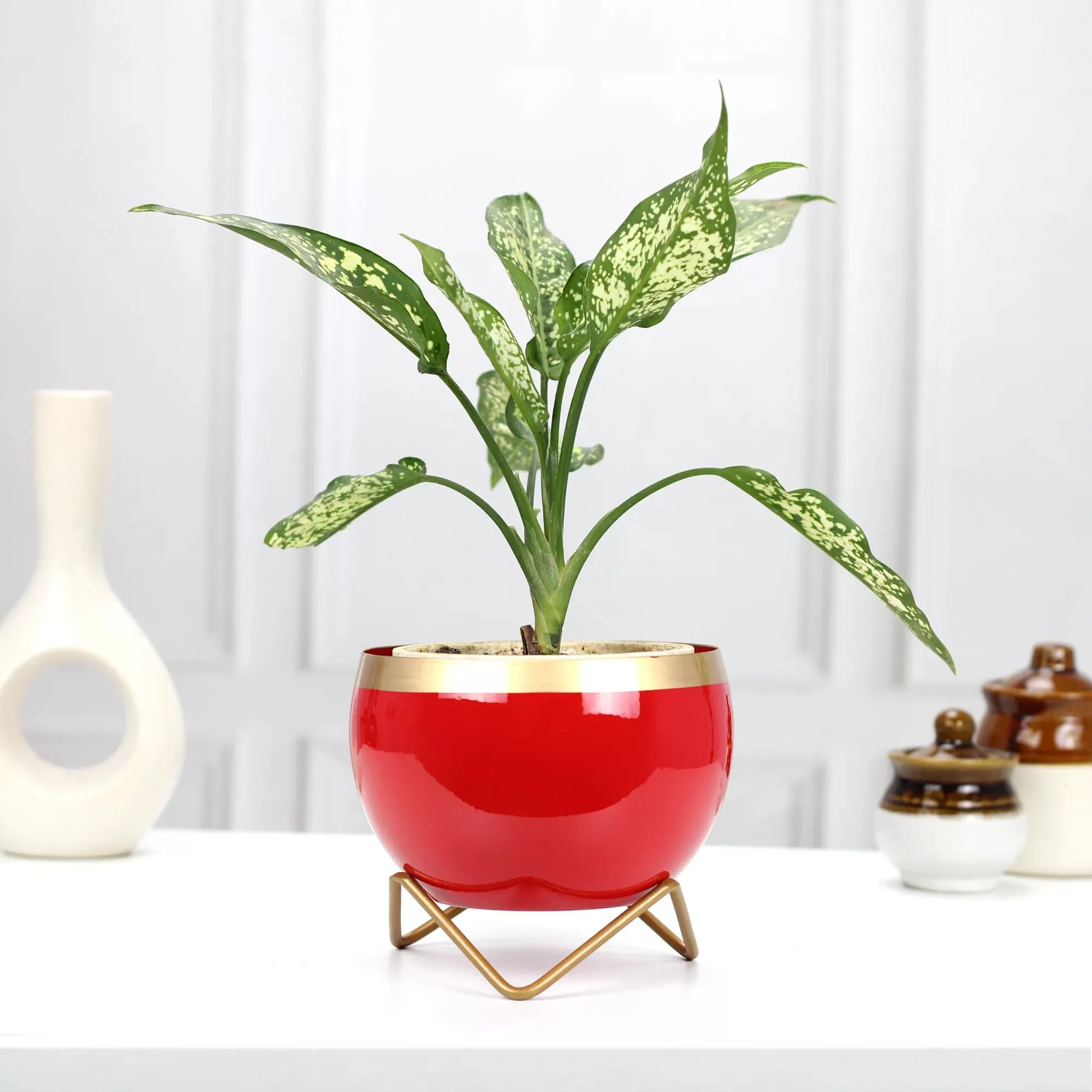Petite Tabletop Pots