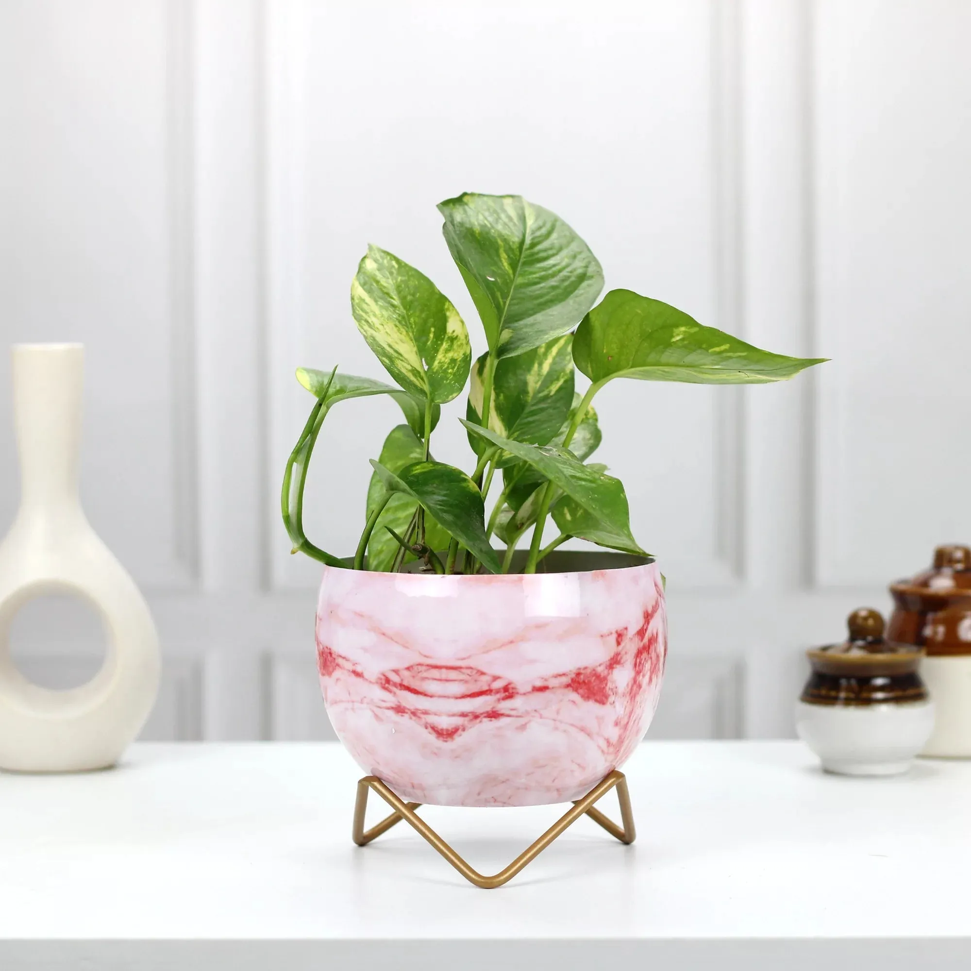 Petite Tabletop Pots