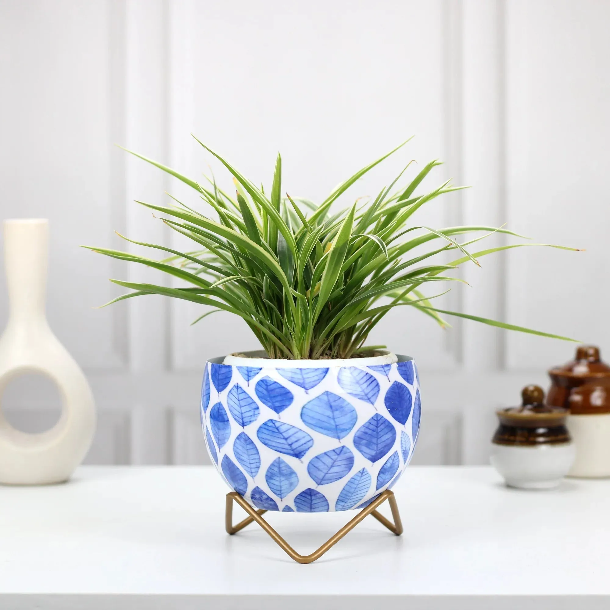 Petite Tabletop Pots