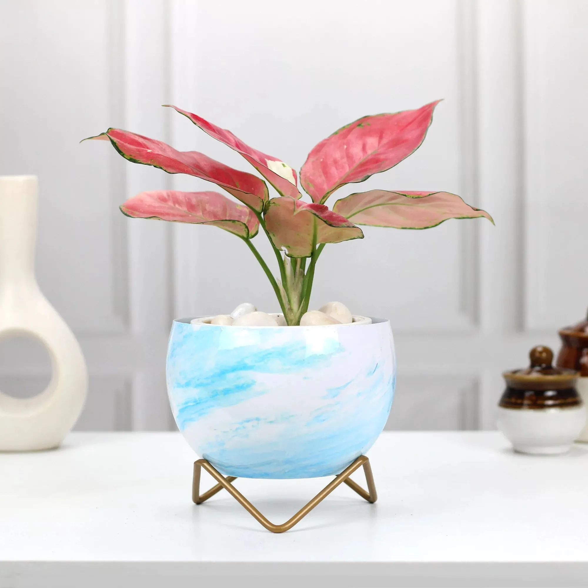 Petite Tabletop Pots
