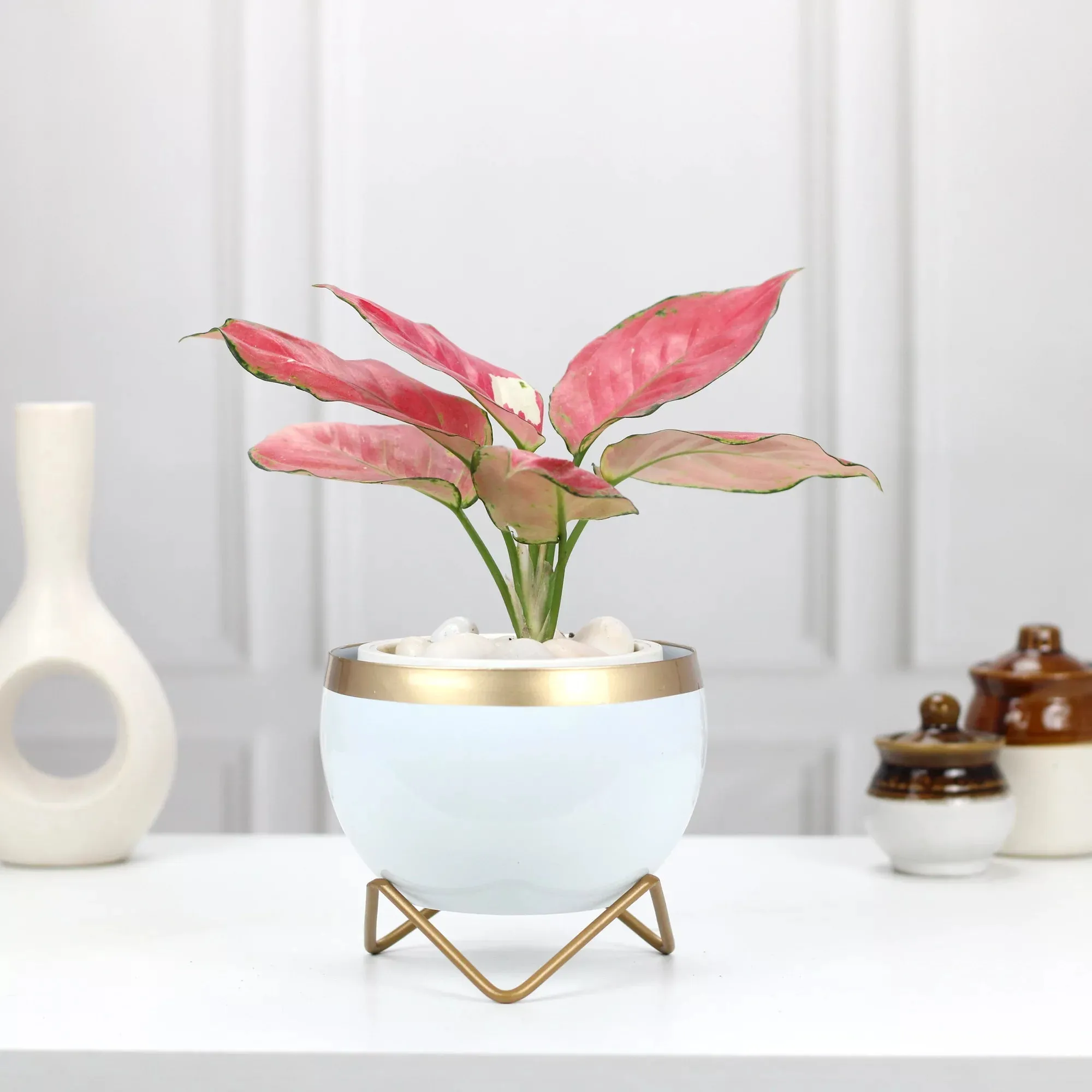 Petite Tabletop Pots