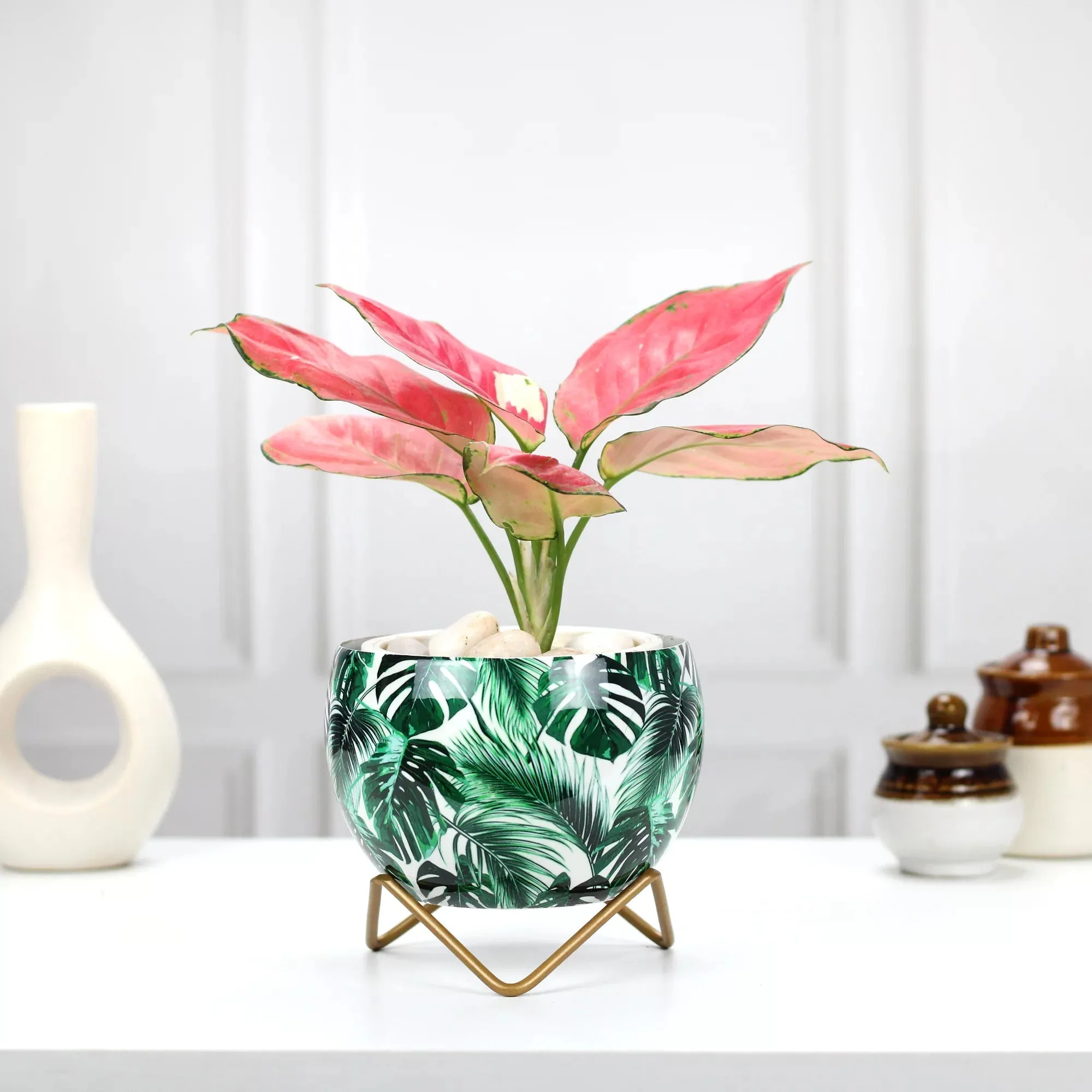 Petite Tabletop Pots