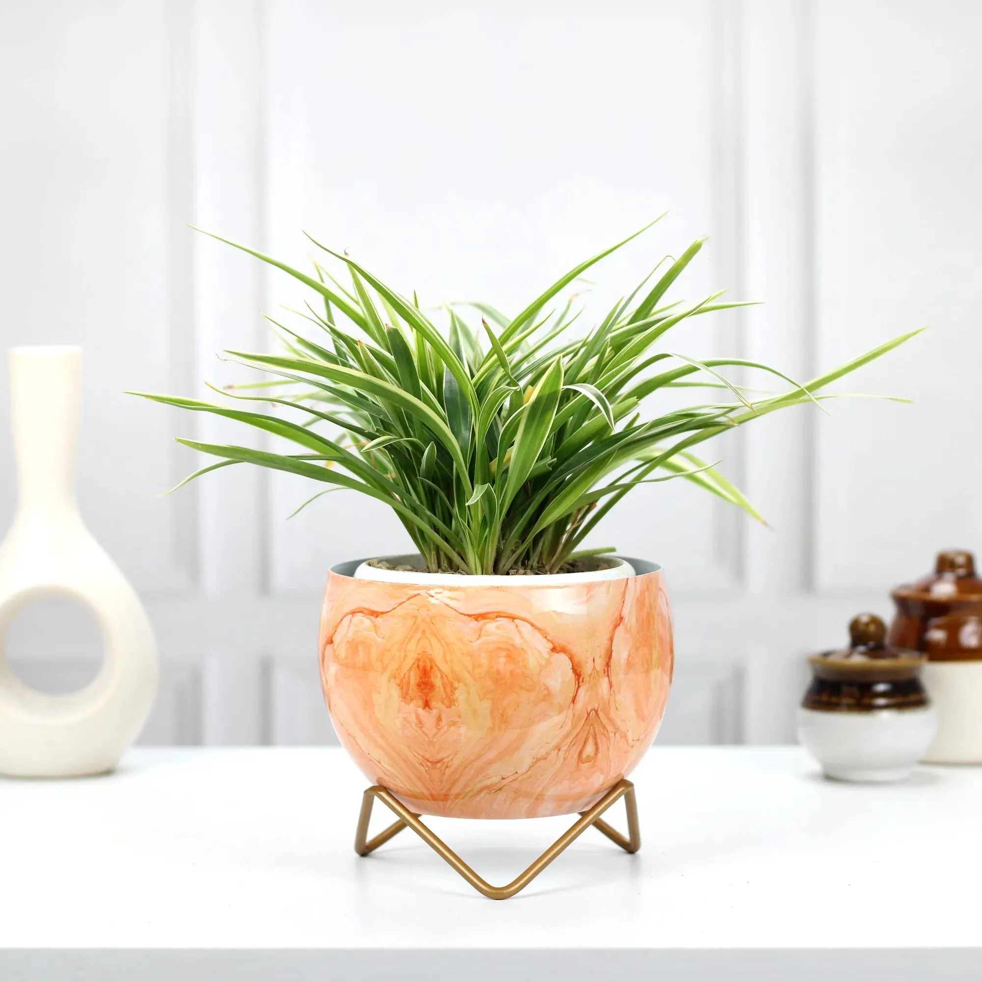 Petite Tabletop Pots