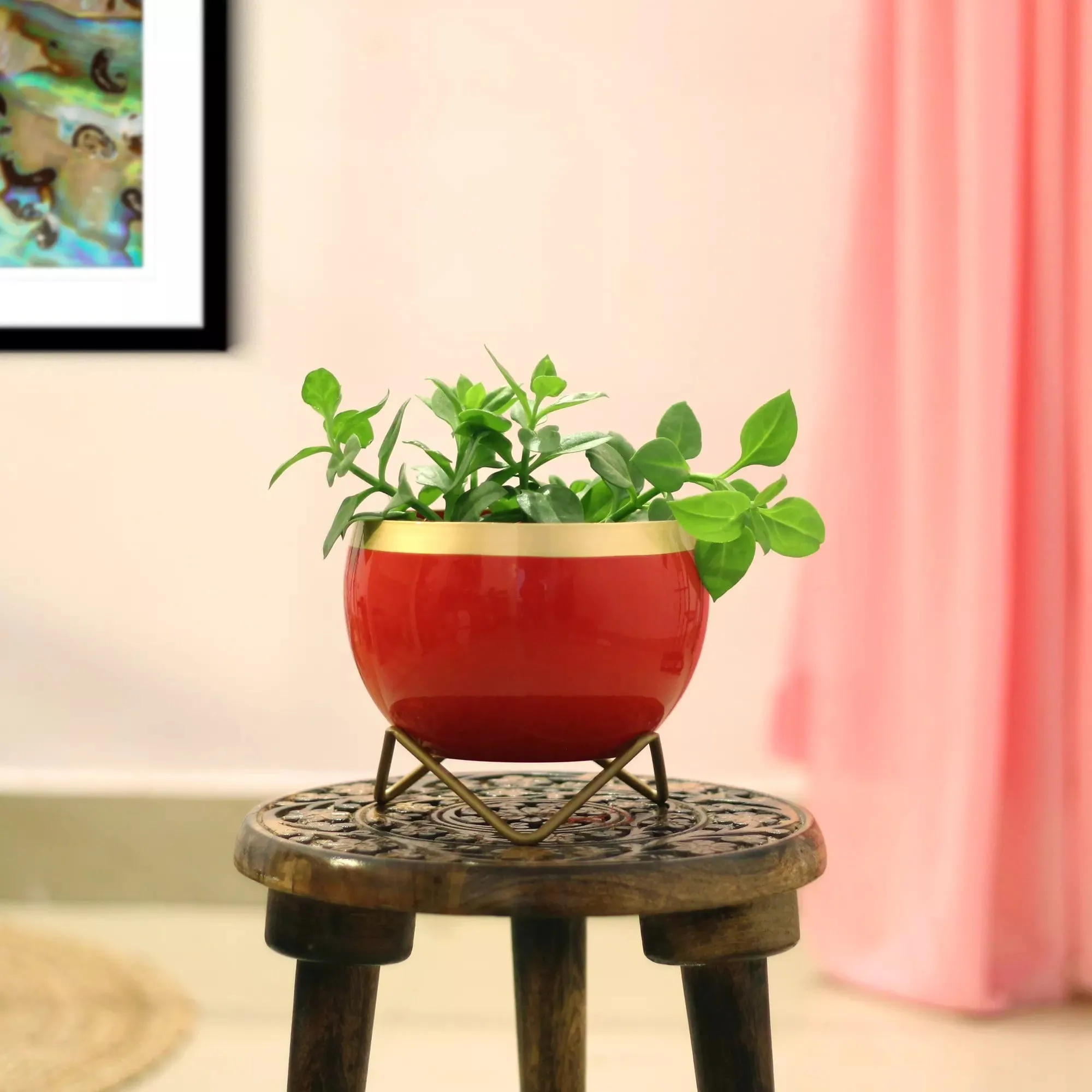 Petite Tabletop Pots