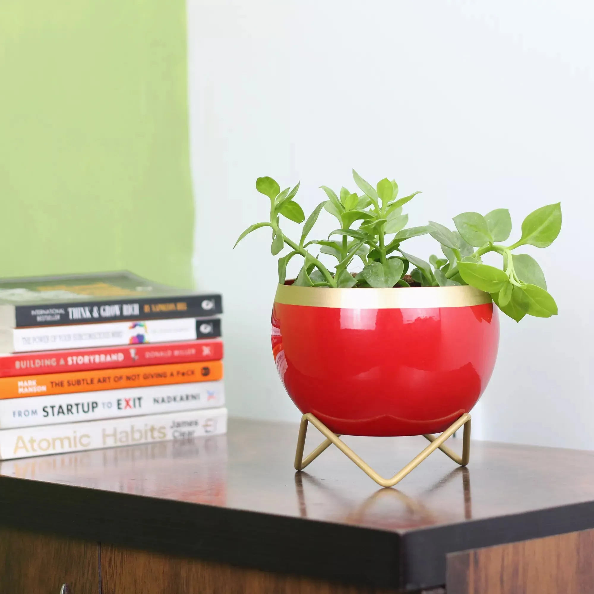 Petite Tabletop Pots