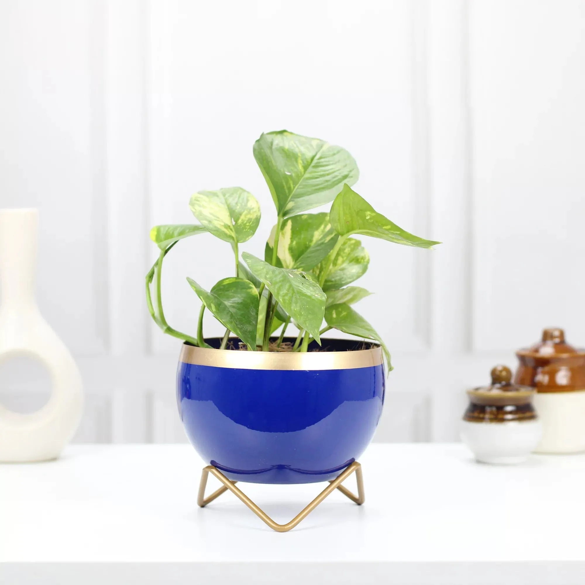 Petite Tabletop Pots