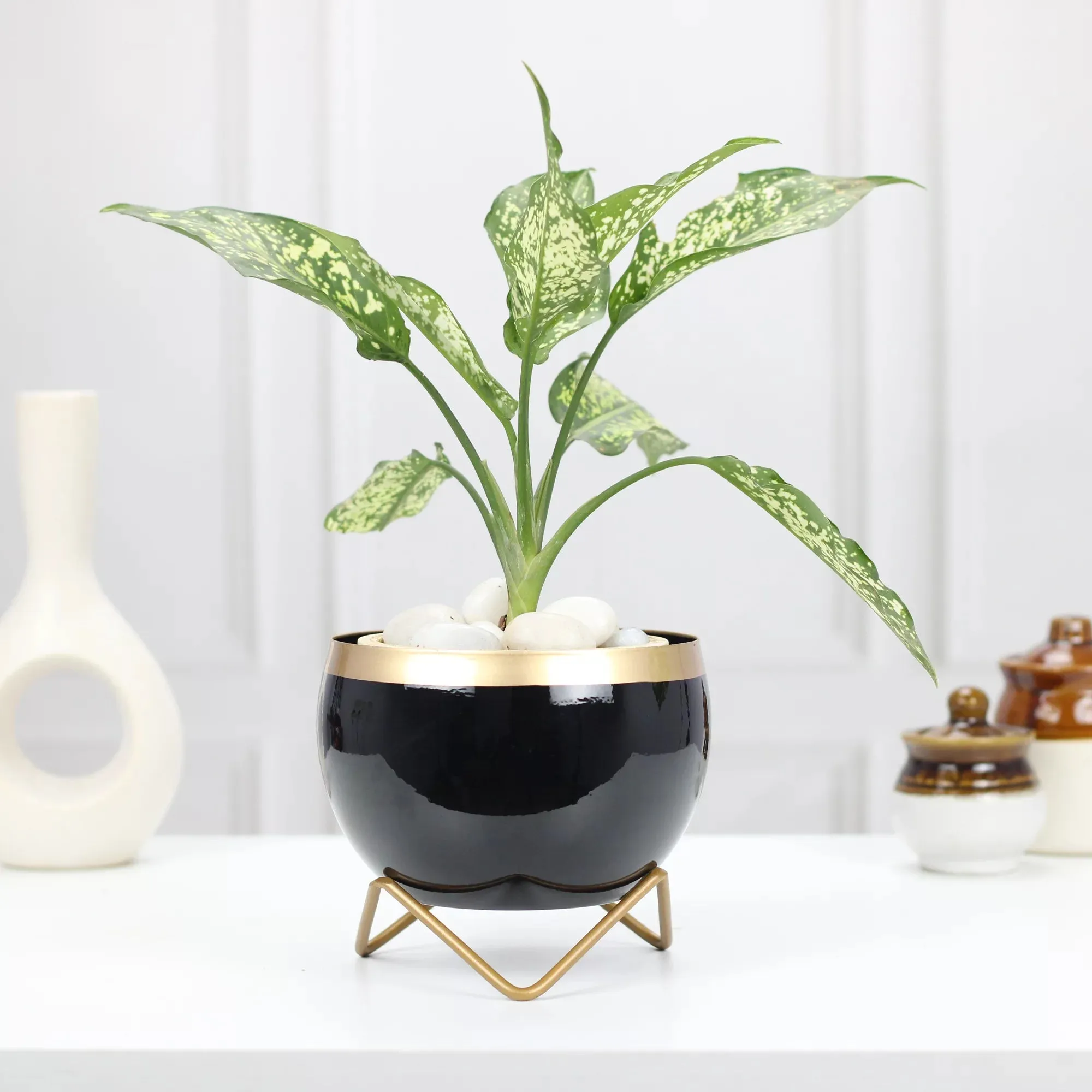 Petite Tabletop Pots
