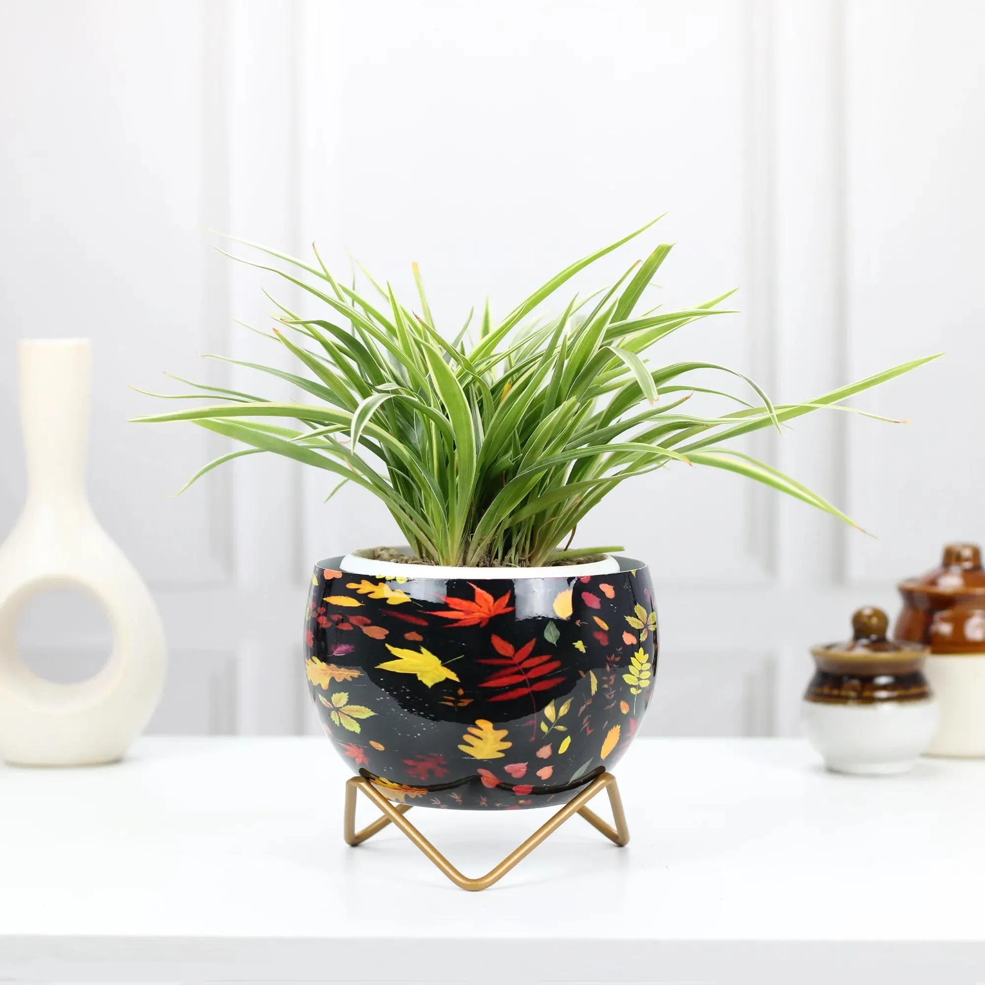 Petite Tabletop Pots
