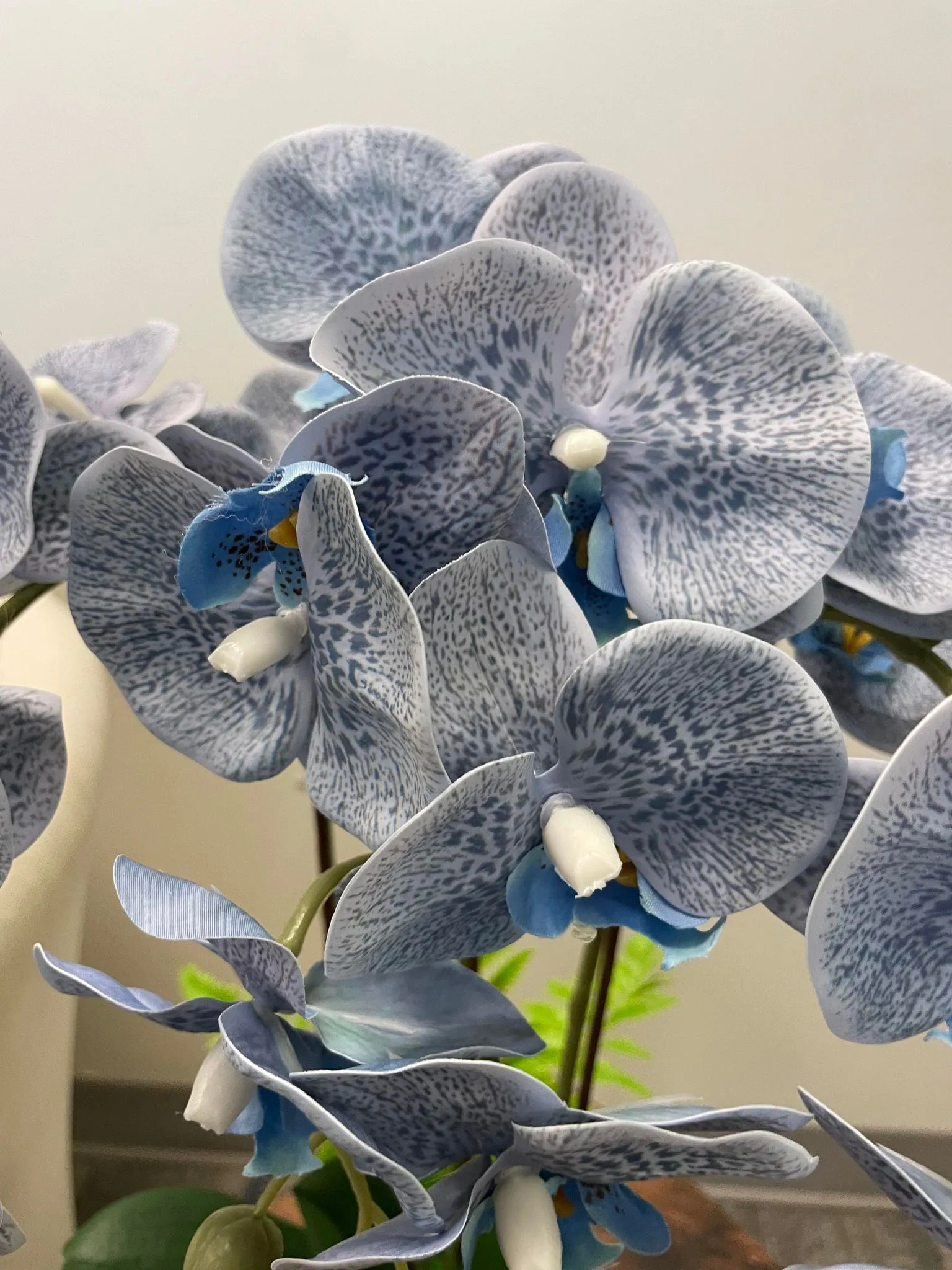 Real touch Artificial orchid Arrangement