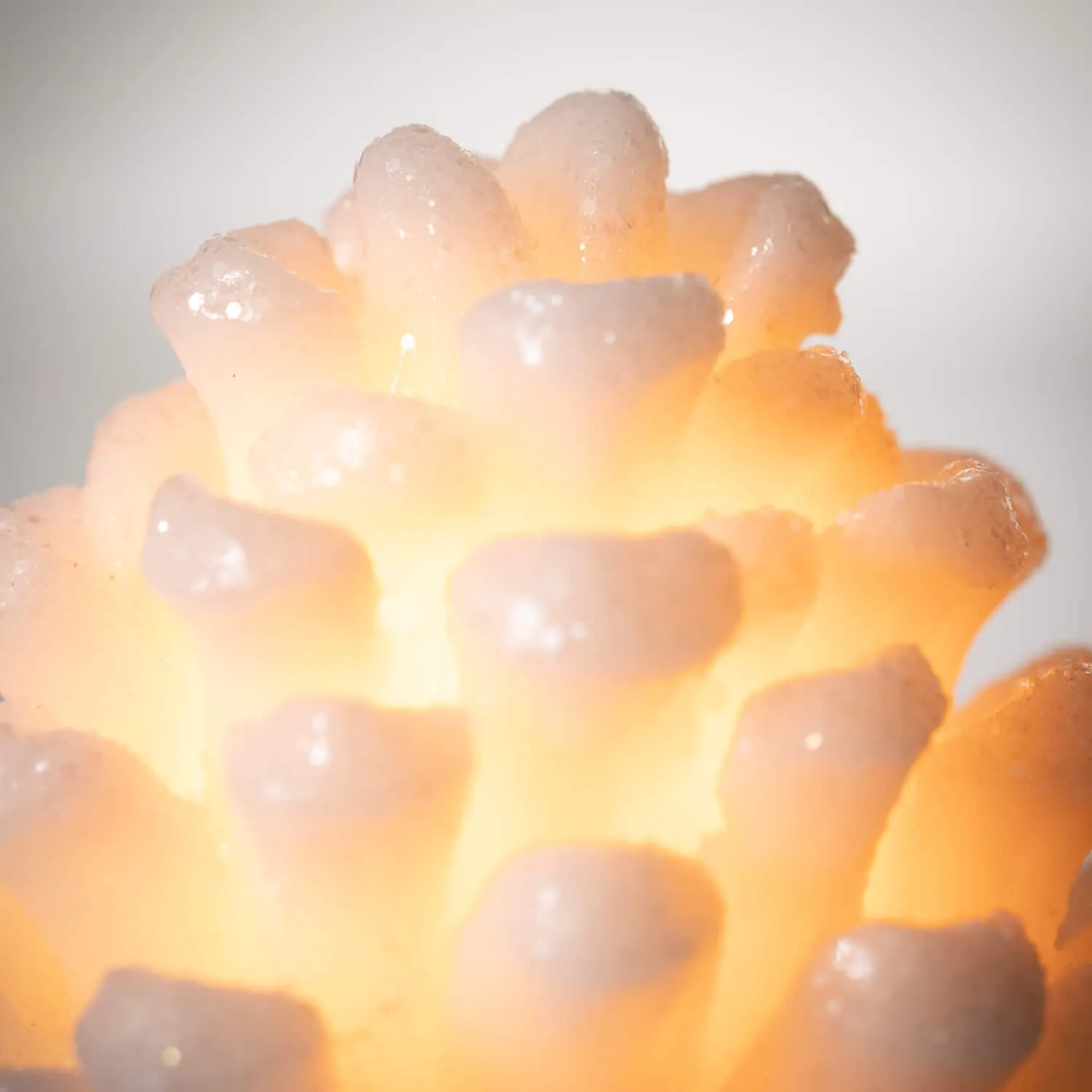 Snowy Pinecone LED Candle