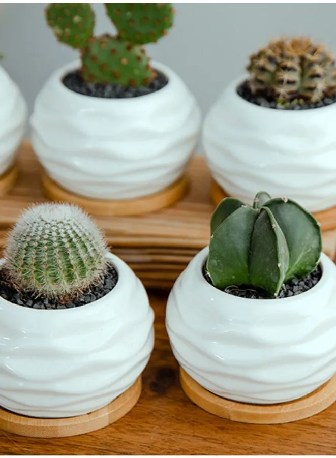 White Succulent Plant Pot With Bamboo Tray and Drainage Hole for Desk, Home Garden (Plant Not Included)