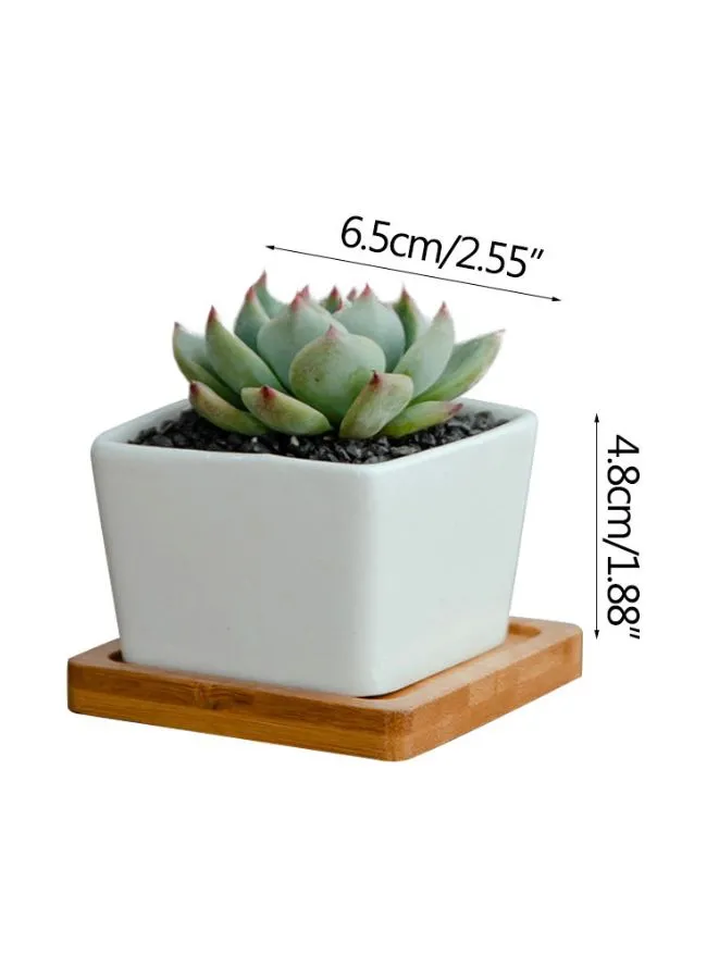 White Succulent Plant Pot With Bamboo Tray and Drainage Hole for Desk, Home Garden (Plant Not Included)