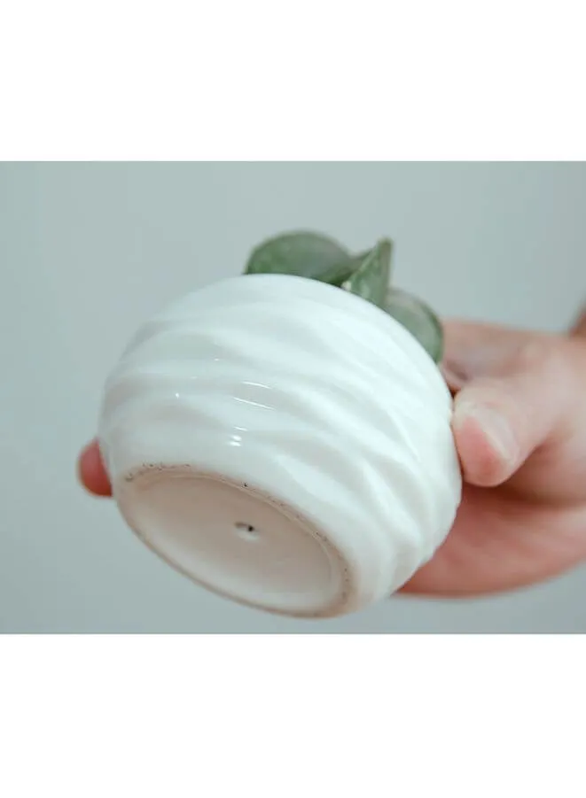 White Succulent Plant Pot With Bamboo Tray and Drainage Hole for Desk, Home Garden (Plant Not Included)