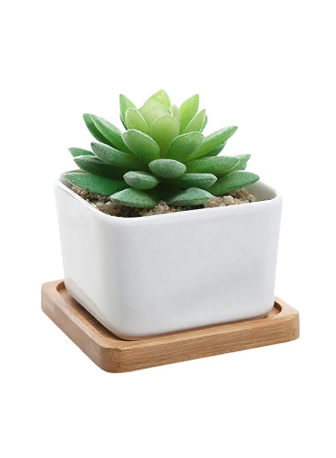 White Succulent Plant Pot With Bamboo Tray and Drainage Hole for Desk, Home Garden (Plant Not Included)