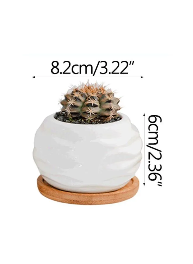 White Succulent Plant Pot With Bamboo Tray and Drainage Hole for Desk, Home Garden (Plant Not Included)
