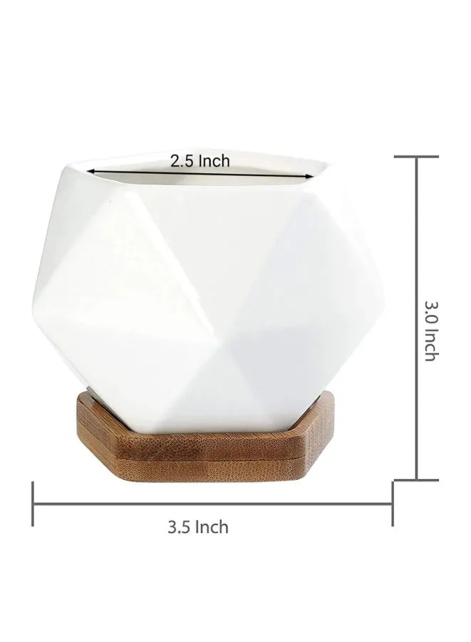 White Succulent Plant Pot With Bamboo Tray and Drainage Hole for Desk, Home Garden (Plant Not Included)